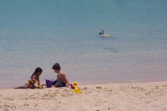 100_0536.jpg
